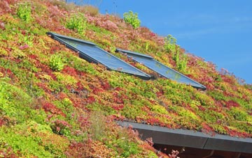 Mudeford living roof systems