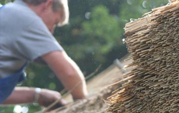 professional Mudeford thatchers