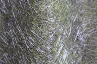 Mudeford fibreglass roof work